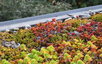 the cost of East Chisenbury green roof installation