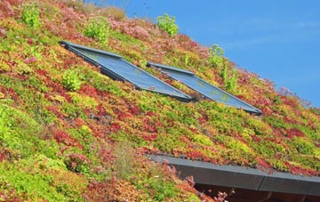 East Chisenbury living roof systems