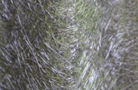 East Chisenbury fibreglass roof work